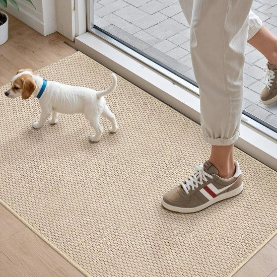 Mat di ingresso antiscivolo da 61 x 92 cm con basso profilo, lavabile e assorbente, colore beige.