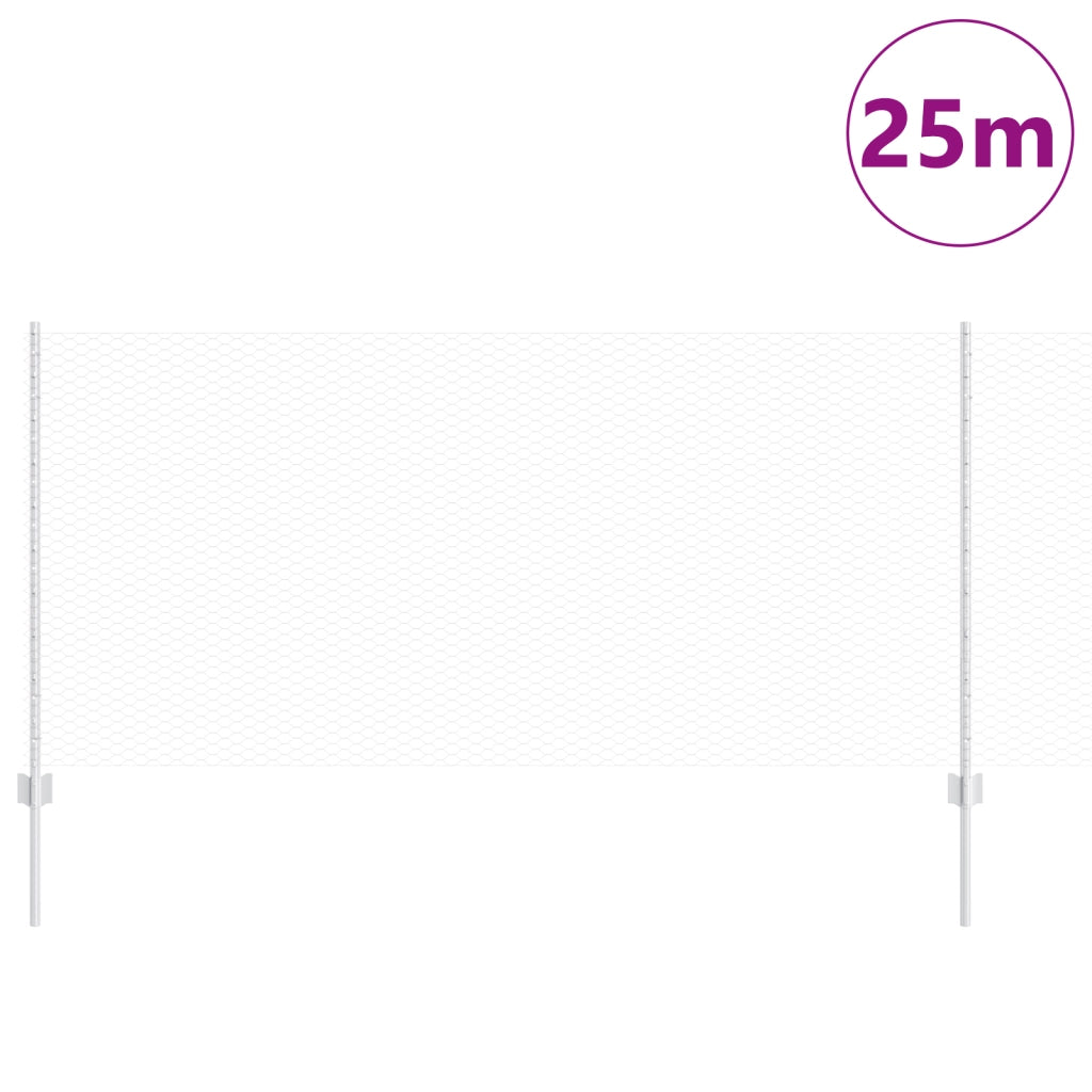 Set di Recinzioni da Giardino Set di 2 Acciaio zincato