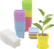 30 pezzi di vasi per piante in plastica, 3 pollici, vasi quadrati colorati, vasi per piante con coperchi - diverse colori 30 pezzi