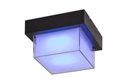Applique esterna LED 10W CCT/RGB IP54 nera Rabalux