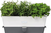 Sistema di Irrigazione Self-Watering per Vasi Vensterbak in Acciaio Inossidabile Triplo 2 Anni di Garanzia