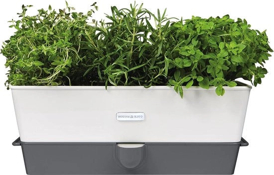 Sistema di Irrigazione Self-Watering per Vasi Vensterbak in Acciaio Inossidabile Triplo 2 Anni di Garanzia