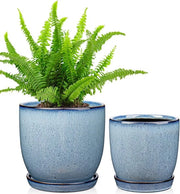 Set di 2 vasi ceramici per piante - interni - decorativi - 2 pezzi - blu - ceramico - 12 cm e 15 cm