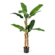 Pianta artificiale 165 cm con 10 grandi foglie in vaso robusto e stabile moderna decorazione per interni in PEVA verde 20_0018742