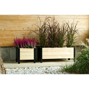 Fioriera Lavanda Cm 78X36X32H Losa