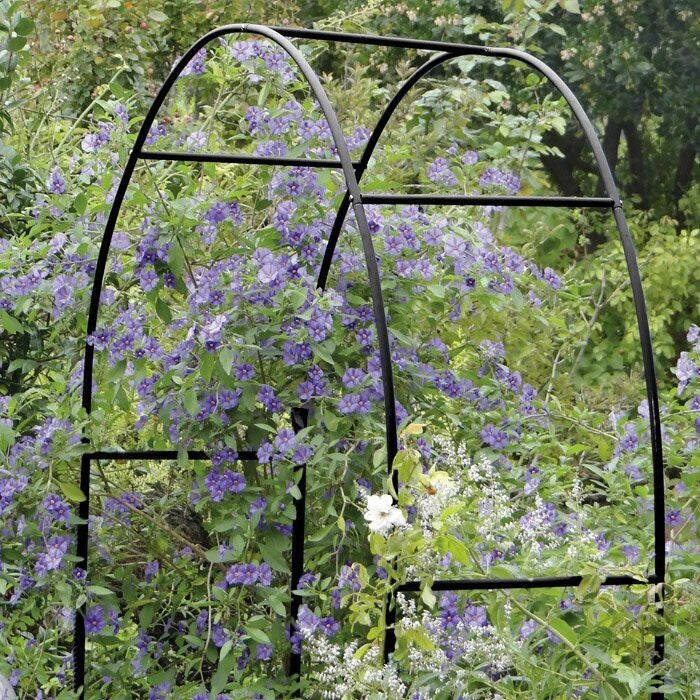 Arco Decorativo Da Giardino Struttura In Metallo H 240 Cm - Biacchi Ettore