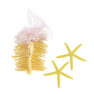 Set 30 Stelle Linckia Levigate 7x9 cm