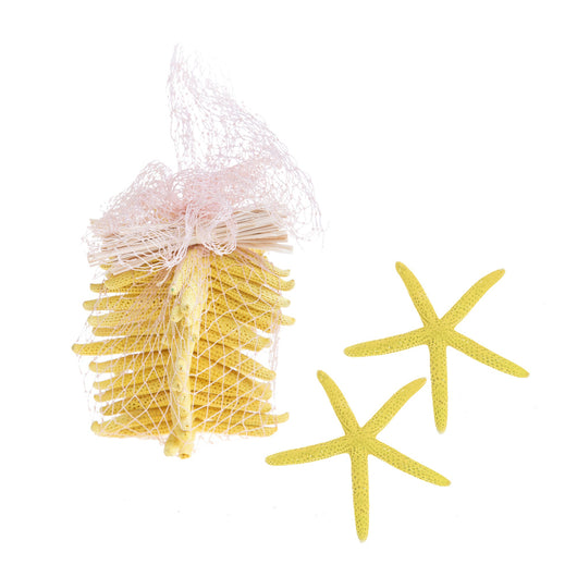 Set 30 Stelle Linckia Levigate 7x9 cm