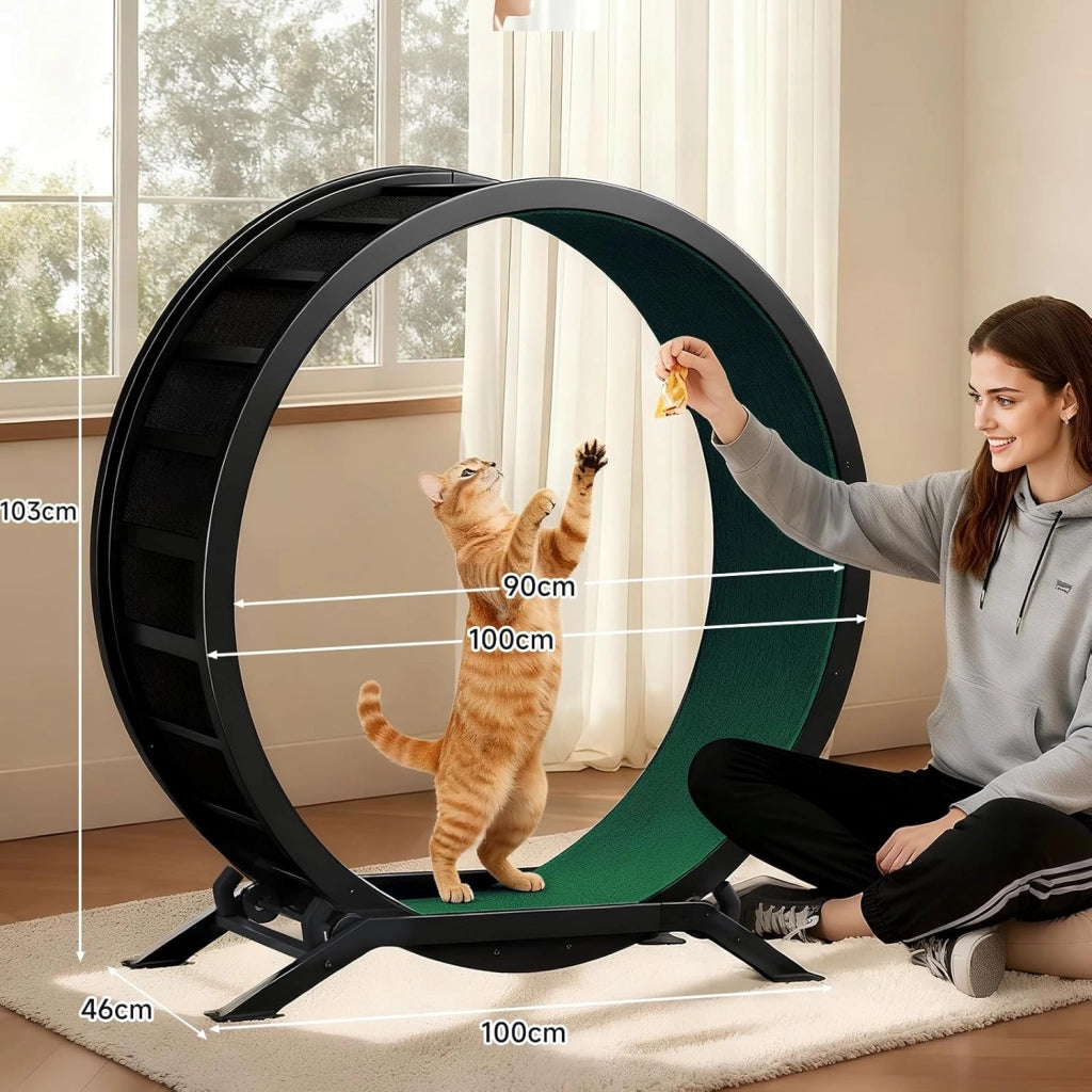Ruota per gatti, ruota per esercizi per gatti, XL- 100 cm, ultra silenziosa con tappetino rimovibile, adesivi, sistema di bloccaggio, metallo, verde, regali per il vostro gatto