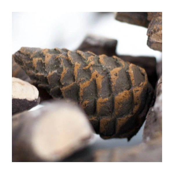 Ceppi Ceramici per Biocamini