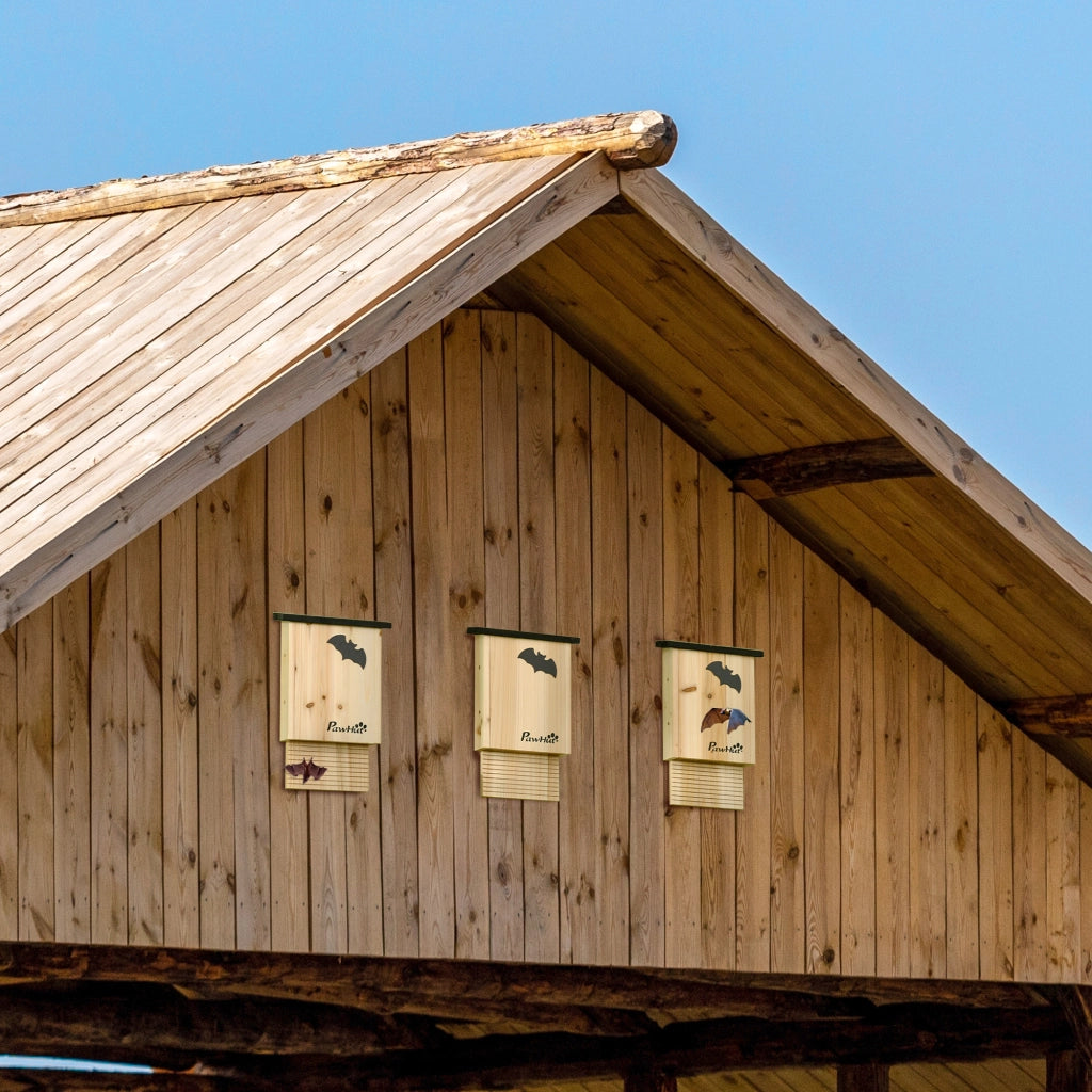 Casetta per pipistrelli 3 pezzi ¨C zephmum ¨C legno di abete trattato, naturale e nero