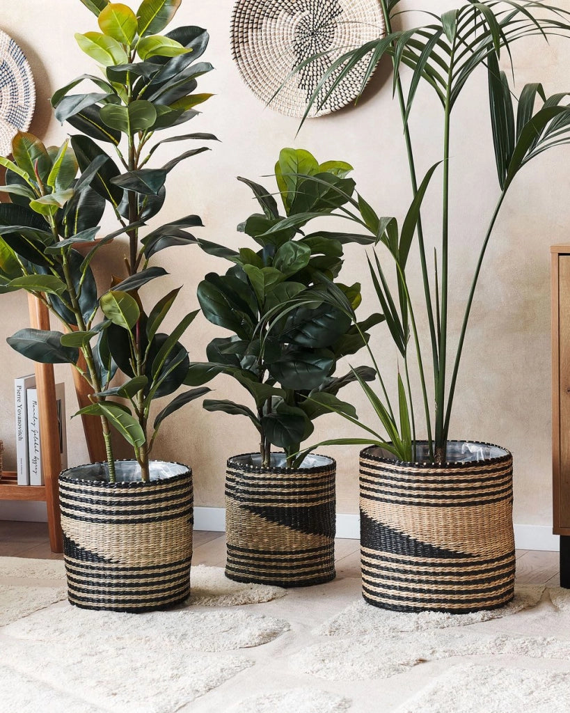 Set di 3 vasi per piante in alghe naturali con fodera per interni stile Boho