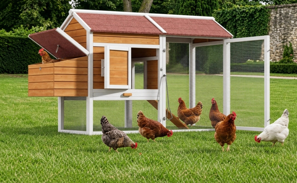 Casetta da giardino in legno massiccio con nido esterno, trespolo e cassetto zincato, natural, 185 × 91 × 115 cm