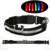 Cinturino LED per cani - Cinturino luminoso regolabile a 360° - Ricaricabile via USB-C per passeggiate notturne e sicurezza - Cinturino luminoso a lampeggio per cani - nero