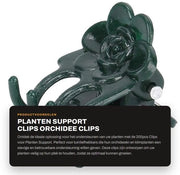 Clips per piante 200 pezzi - Supporto per piante - Clips per orchidee - Clips per piante da sospensione - Clips autoadesivi - Sostenitori per piante da interno