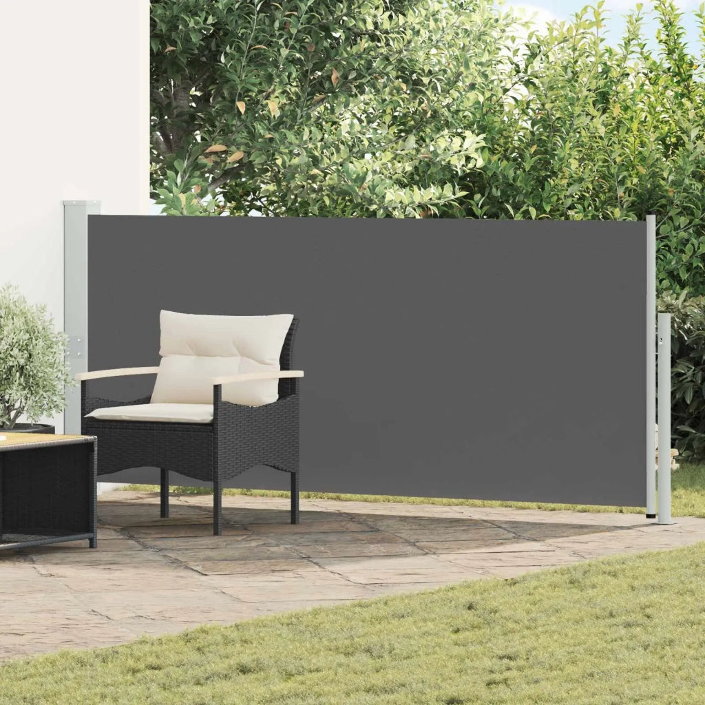 Tenda laterale retrattile Antracite 300 x 120 cm Poliestere 42035289