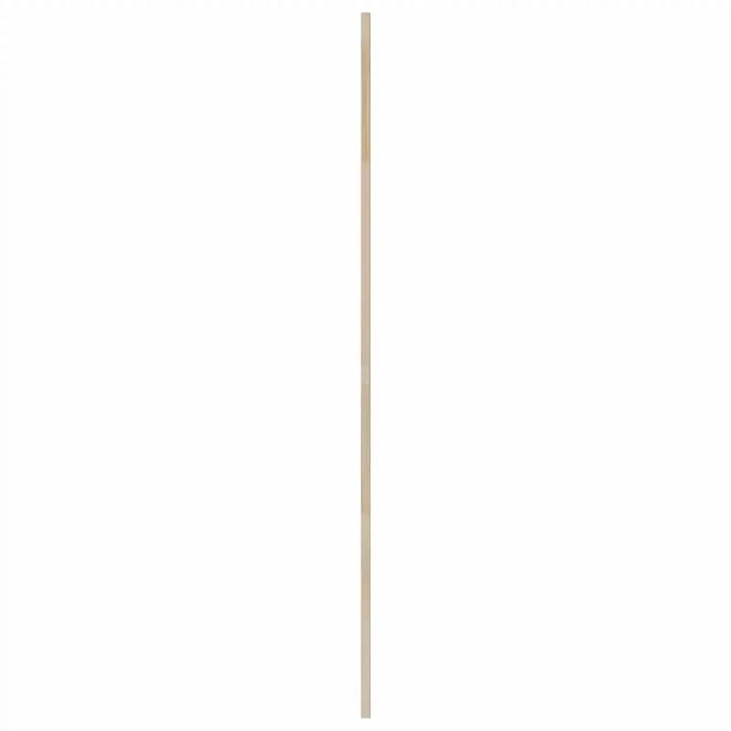 Porta per Armadio con porta 4 pcs Naturale 170 x 2,1 x 49,5 cm 3394501