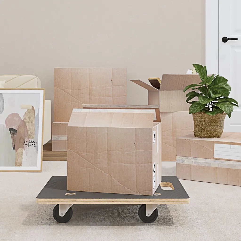 Pedane di Trasporto 2 pz Rettangolari 60x40x11,5 cm 250 kg 154890