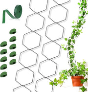 Supporti per piante rampicanti e piante da appartamento - 1 metro caviature e 10 ganci - Pothos (a sei lati)