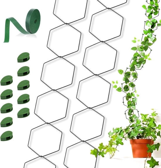 Supporti per piante rampicanti e piante da appartamento - 1 metro caviature e 10 ganci - Pothos (a sei lati)