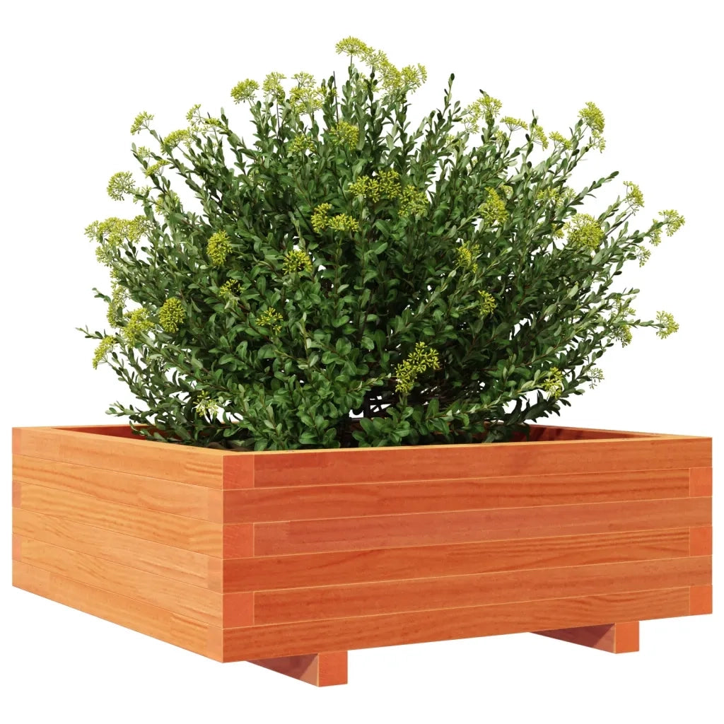 Fioriera Giardino Marrone Cera 70x70x26,5cm Legno Massello Pino