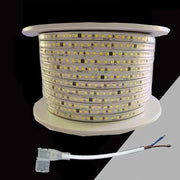 Trade Shop - Striscia Led 3535 220v 12w/mt 120led/mt 100 Mt 8mm Vari Colori Di Luce 3535-120d -