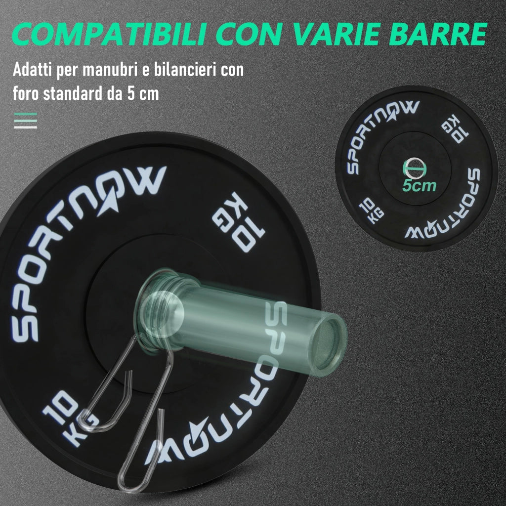 Set di 2 Dischi Palestra da 10kg per Bilanciere e Manubri con Attacco ?5cm, Nero