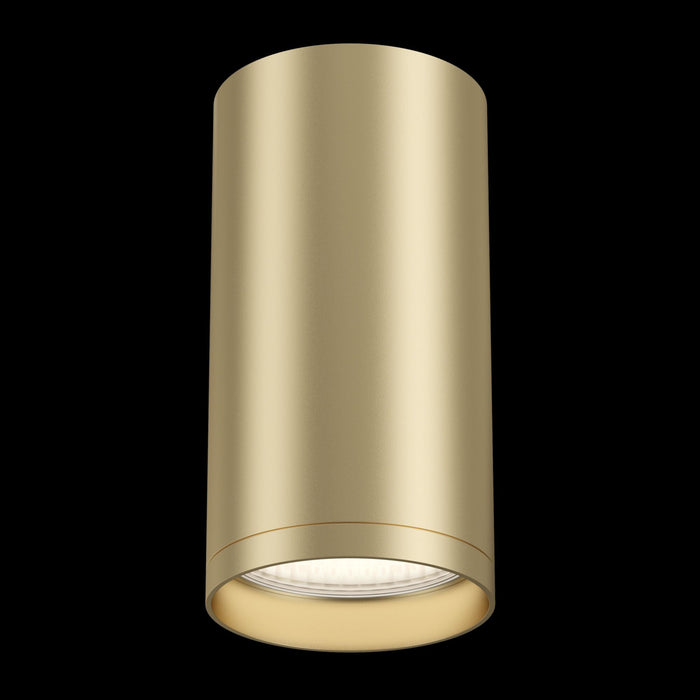 Plafoniera Ceiling & Wall in Metallo FOCUS S Opaco Oro