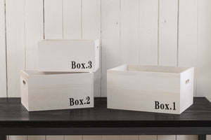 Set 3 Cassette Multiuso in Legno di Paulownia Ariel Bianco