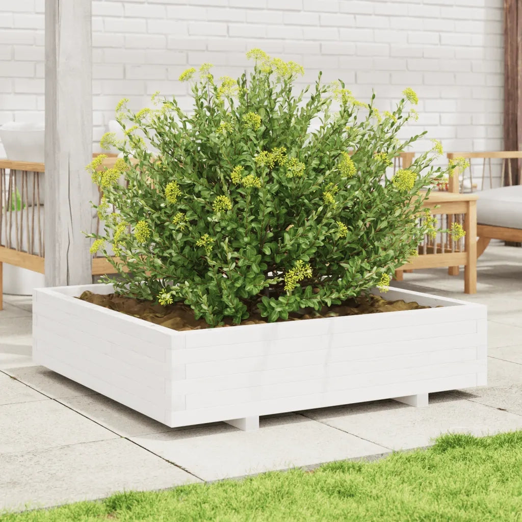 Fioriera da Giardino-Vaso da Esterno Bianca 100x100x26,5cm Legno Massello Pino