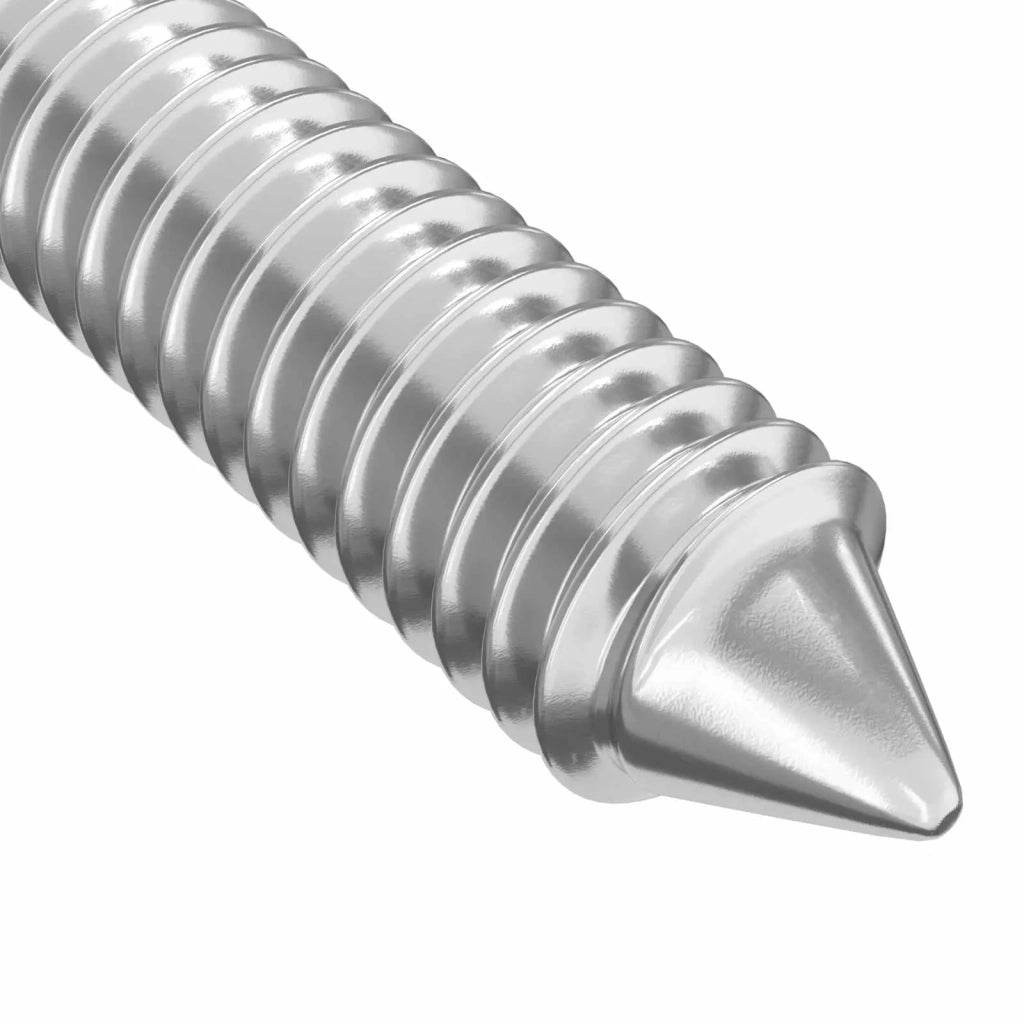 Viti per mobili 12 pz Argento M6 x 100 mm Acciaio CFW9554183