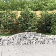 Cesti Gabbioni ad Arco 2 pz 400x30x40/60 cm Ferro Zincato 3146827