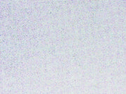 PLASTICA ADESIVA TRASPARENTE OPACO (280-2528)- - cm.45h. in rotoli da mt.15 - 1 rotolo ALKOR