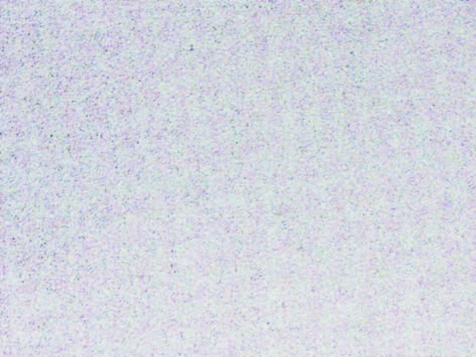PLASTICA ADESIVA TRASPARENTE OPACO (280-2528)- - cm.45h. in rotoli da mt.15 - 1 rotolo ALKOR