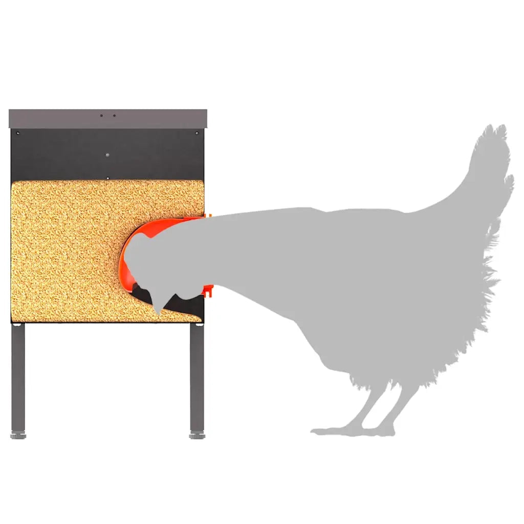 Feeder per pollo 2 pz Nero 41,5 x 20,5 x 33 cm CFW9700830