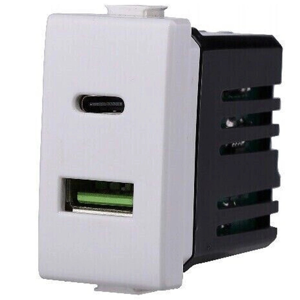 Trade Shop - Serie Bticino Frutti Matix Compatibile Presa Schuko Lan Pulsante Deviatore Usb -     Presa Usb Doppia Type A + C
