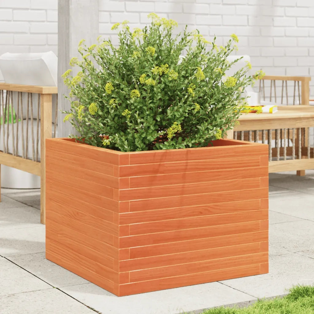 Fioriera | Cassetta per fiori | Vaso Giardino Marrone Cera 60x60x46 cm Legno Massello Pino