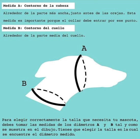 Cinturone per cani Martingale - Taglia S - Blu chiaro