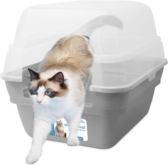 Casa per Gatto Flessibile con Lenzuolo e Coperchio Vetrato - Grigio