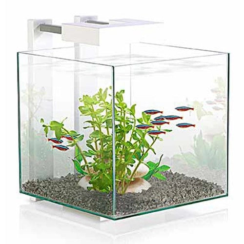 Ciano Nexus Pure Cube bianco - miniacquario 14L  cm25x25x31,5h con illuminazione a LED