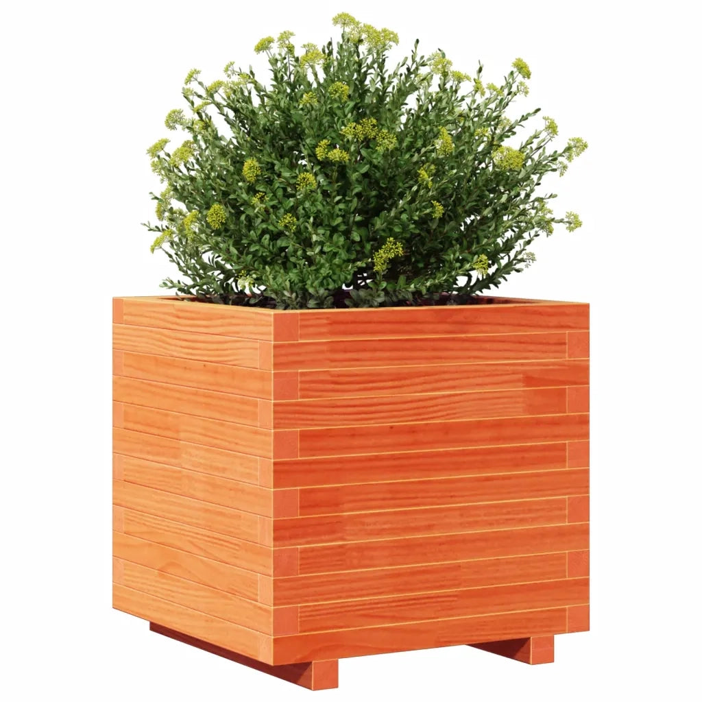 Fioriera Giardino Marrone Cera 50x50x49,5cm Legno Massello Pino 847355