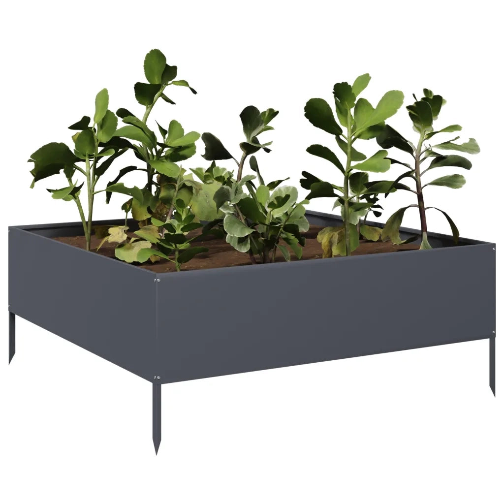 Fioriera | Cassetta per fiori | Vaso Rialzata da Giardino Antracite 100x100x41 cm Acciaio