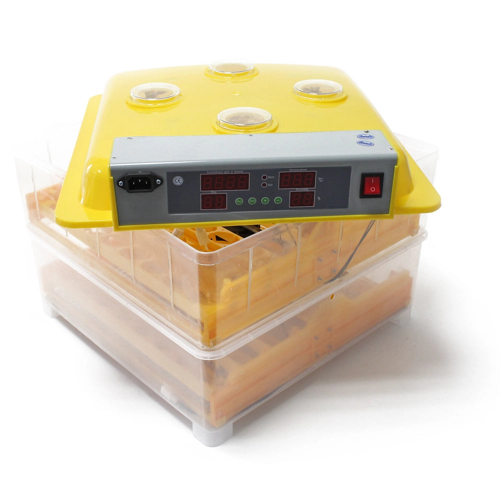 Incubatrice automatica per 96 uova, con regolazione temperatura e umidità, Covatrice
