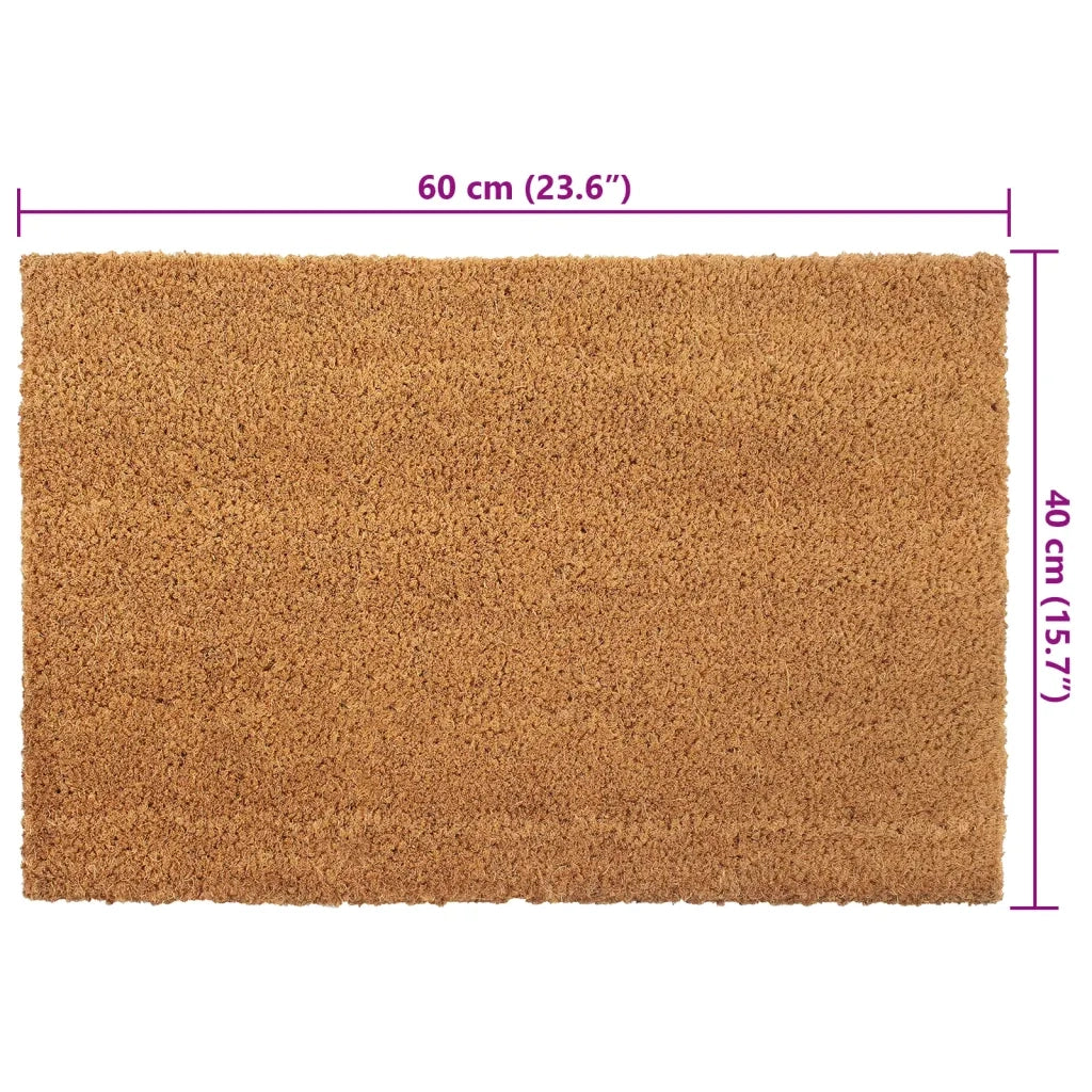 vidaXL Zerbini 2 pz Naturale 40x60 cm in Fibra di Cocco