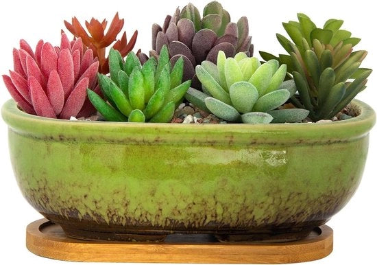 Piantina Succulenta - Piantine da Interno in Ceramica con Scatola di Drenaggio 20cm Piantine Rettangolari per Fiori Piccoli Piantine per Giardino Casa e Finestra.