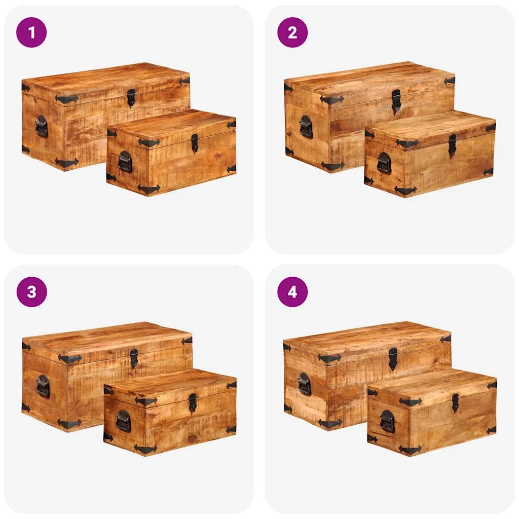 Casse di Stoccaggio 2 pz in Legno Ruvido di Mango CFW8294317