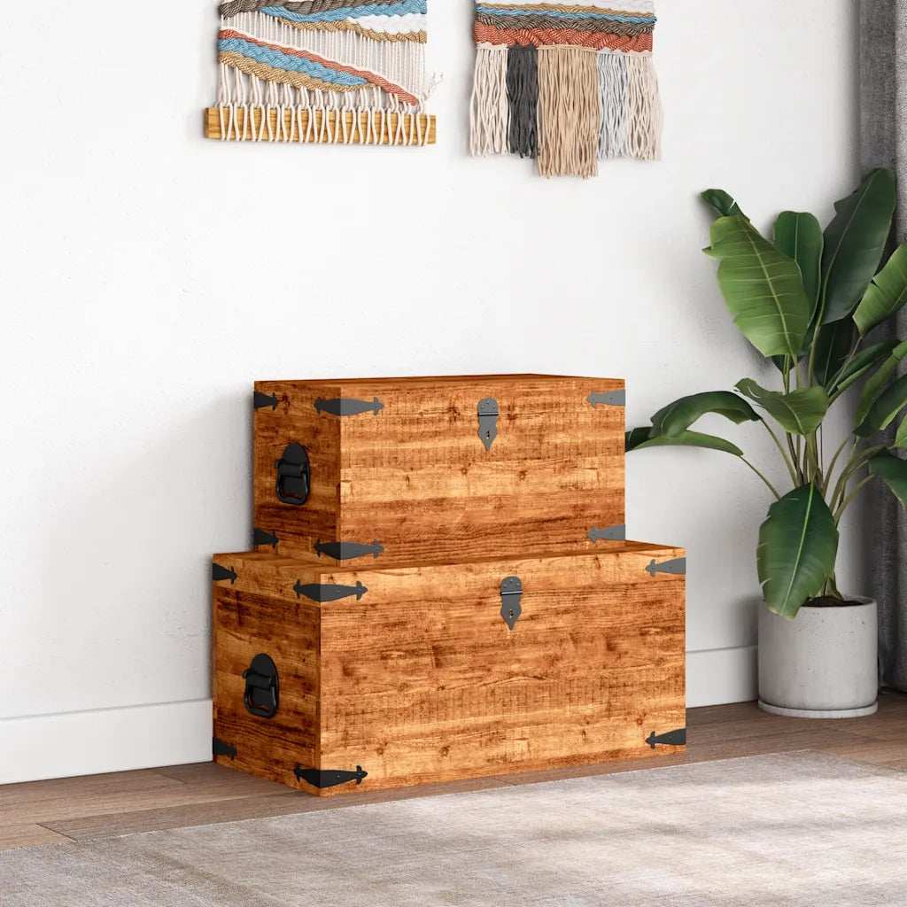 Casse di Stoccaggio 2 pz in Legno Ruvido di Mango 241634