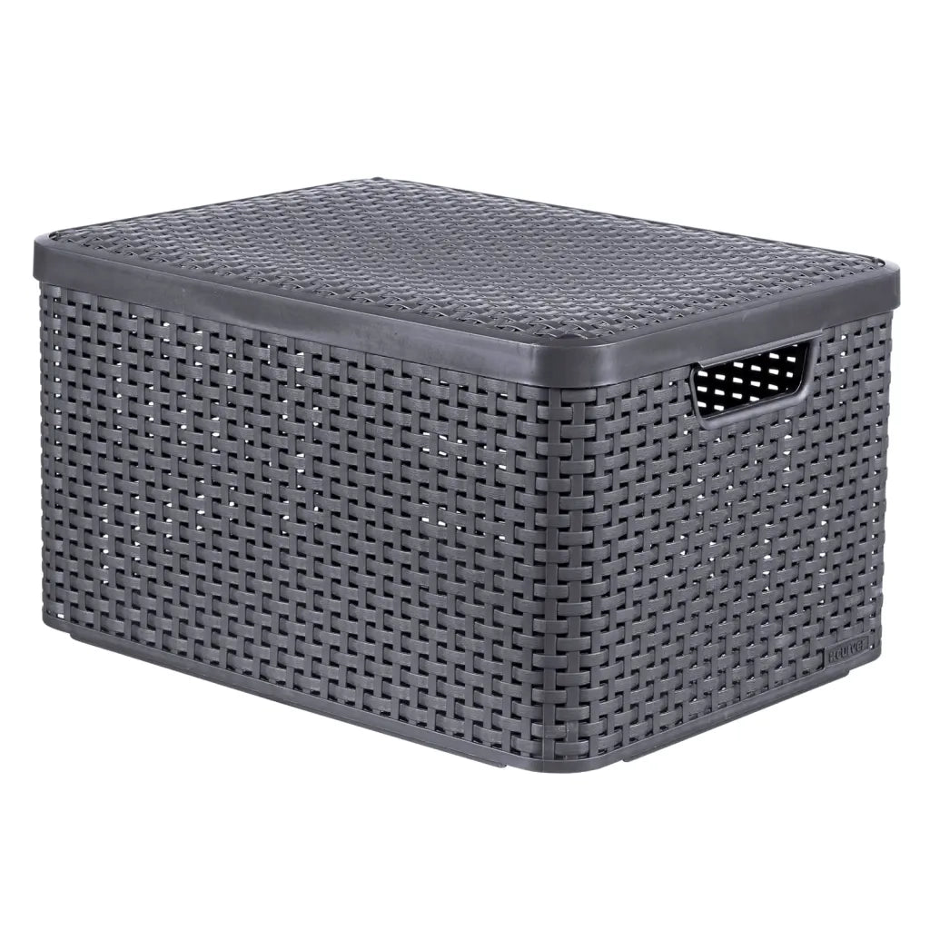 Curver Scatola Portaoggetti Coperchio Style L 30L Argento Metallizzato 443863