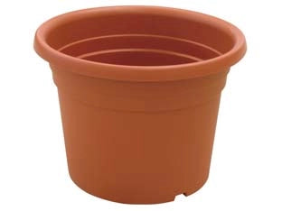 VASO CILINDRO DAHLIA- - ø cm.35x25h. - 12 pezzi ICS