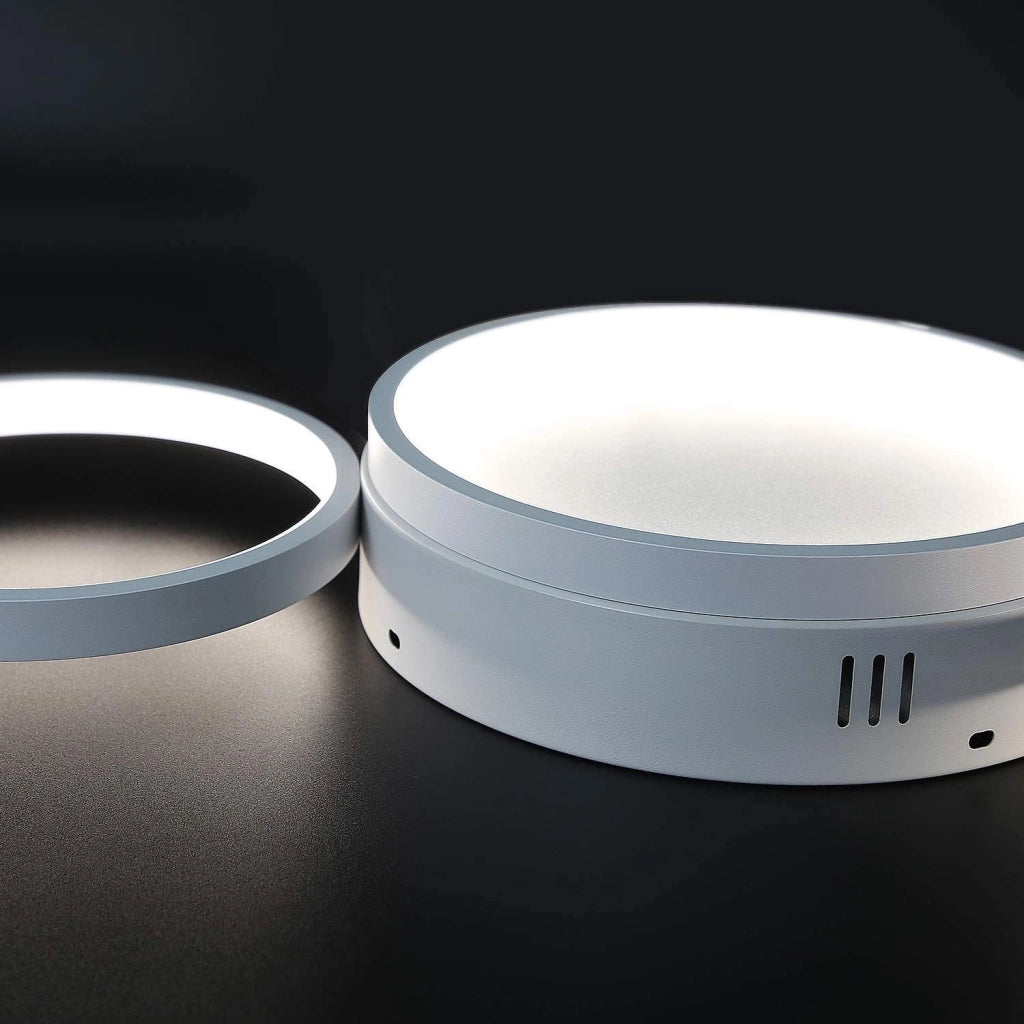 ZMH Lampada da soffitto LED 4 fiamme ad anello telecomando per camera letto